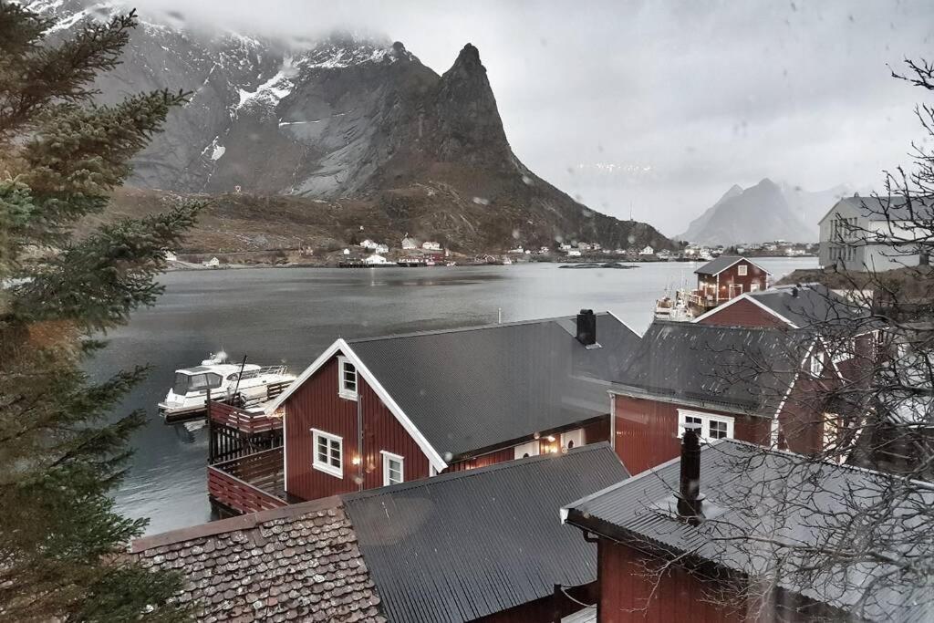 Cozy House By The Fjord In The Heart Of Lofoten Reine Εξωτερικό φωτογραφία
